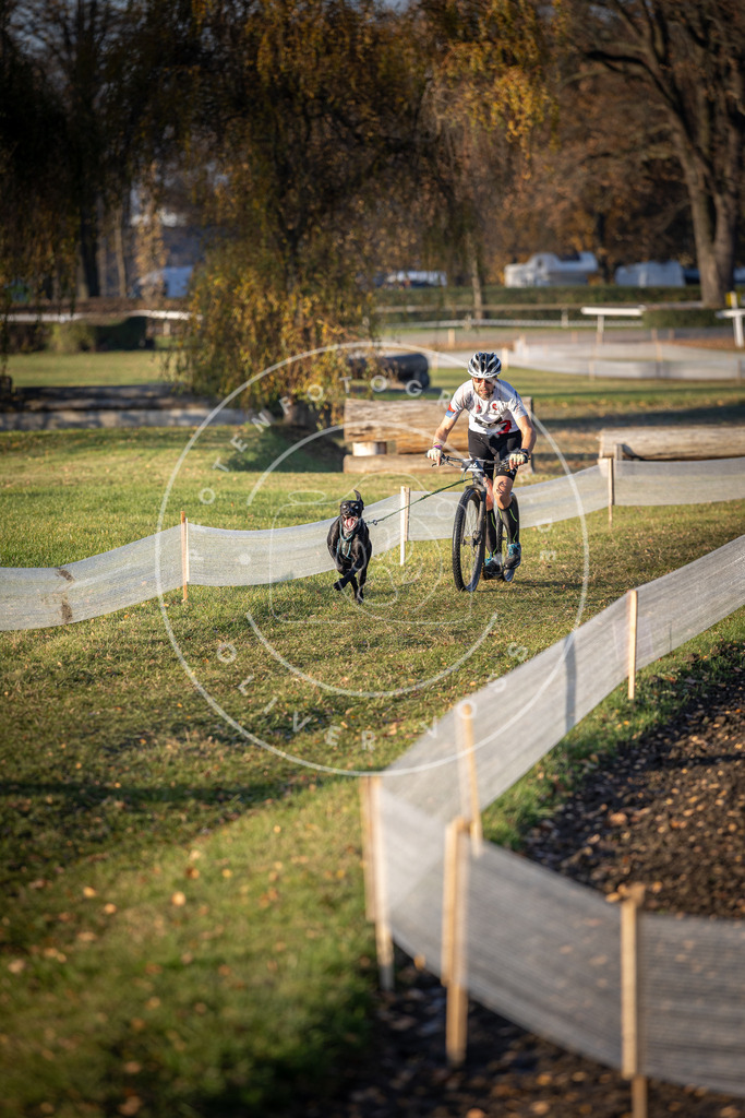 CaniXpix_DV3A0736 | Hundefotografie, Tierfotograf, Pfotenfotografie, Fotoshooting Hund, Hunde Portrait, Hundesport, Hundeportraits, Heideshooting, Hunde, Sportfotograf, Hundefotograf, Turnierhundsport, THS,  - Realisiert mit Pictrs.com