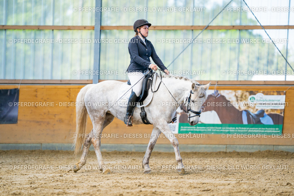 DSC06954 | Pferdegrafie