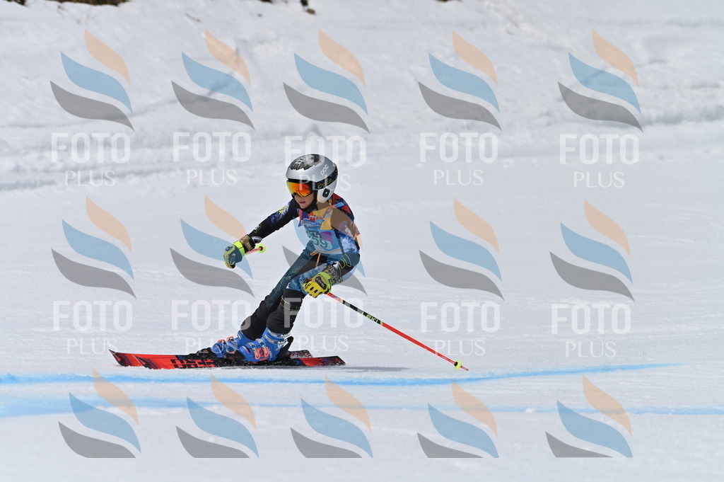 BGV_5143 | holidayphoto