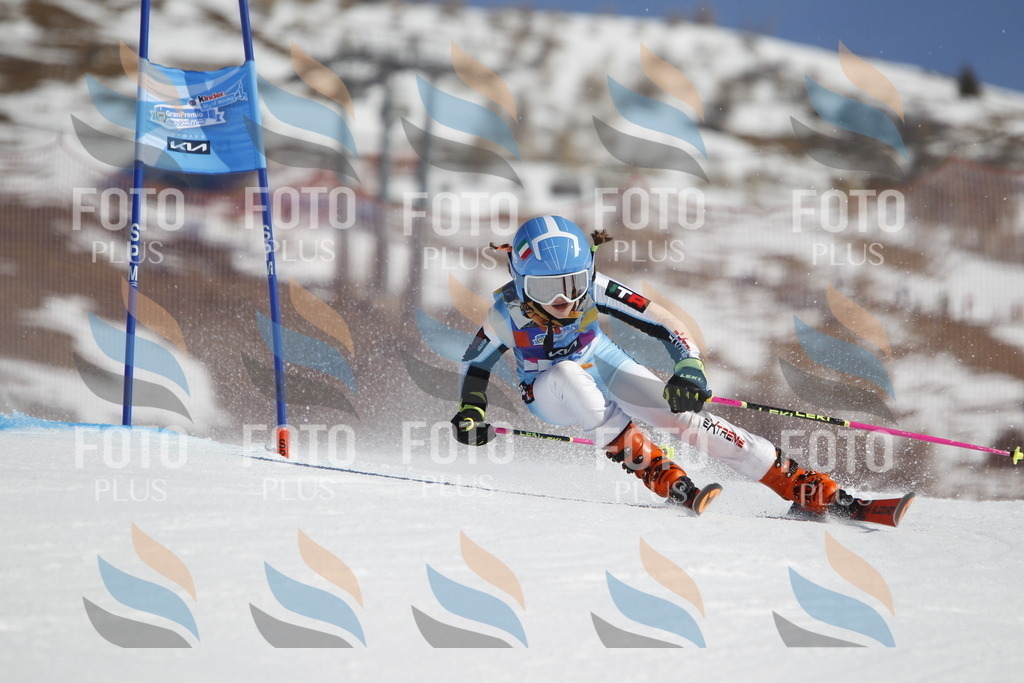 _U3G9730 | holidayphoto