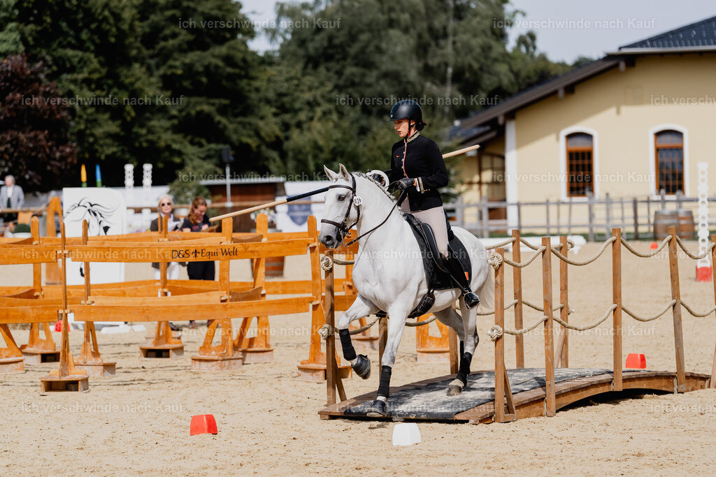 Virginie12FHC2025-2599 | working equitationturnier fotograf videograf stoibphotography marixx film working equitation deutschland reitsport turnierfotografie eventfotografie equestrian events