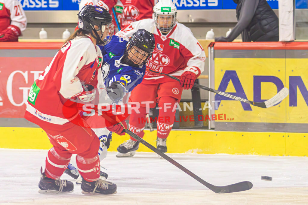 Eishockey DEBL 2023/24 | Eishockey DEBL 2023/24, KAC Frauen - Villach Lady Hawks am 27.09.2023 in Klagenfurt (Heidi Horten Arena), Austria, (Photo by Ernst Krawagner sport-fan.at) - Realisiert mit Pictrs.com