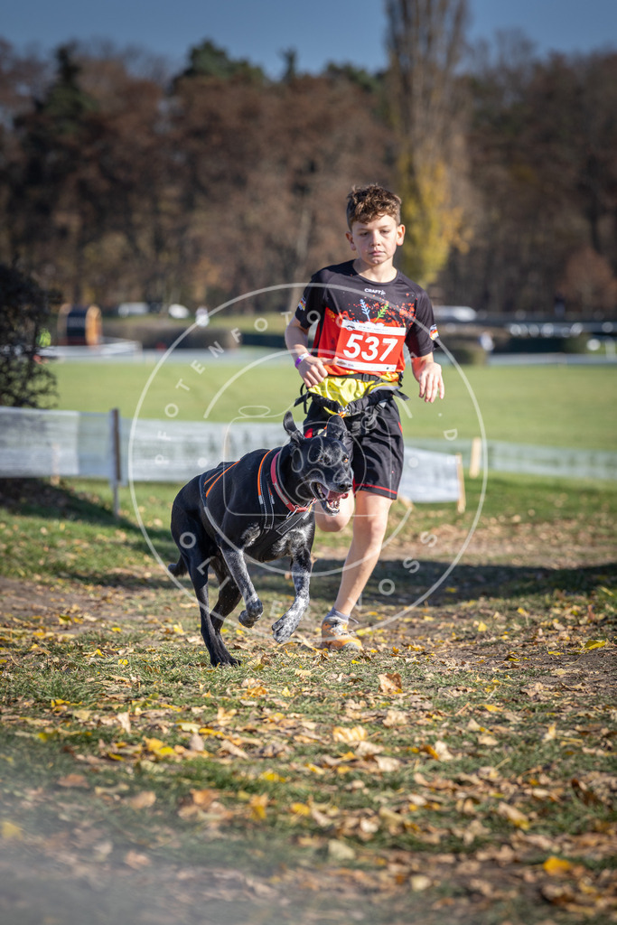 CaniXpix_DV3A8332 | Hundefotografie, Tierfotograf, Pfotenfotografie, Fotoshooting Hund, Hunde Portrait, Hundesport, Hundeportraits, Heideshooting, Hunde, Sportfotograf, Hundefotograf, Turnierhundsport, THS,  - Realisiert mit Pictrs.com
