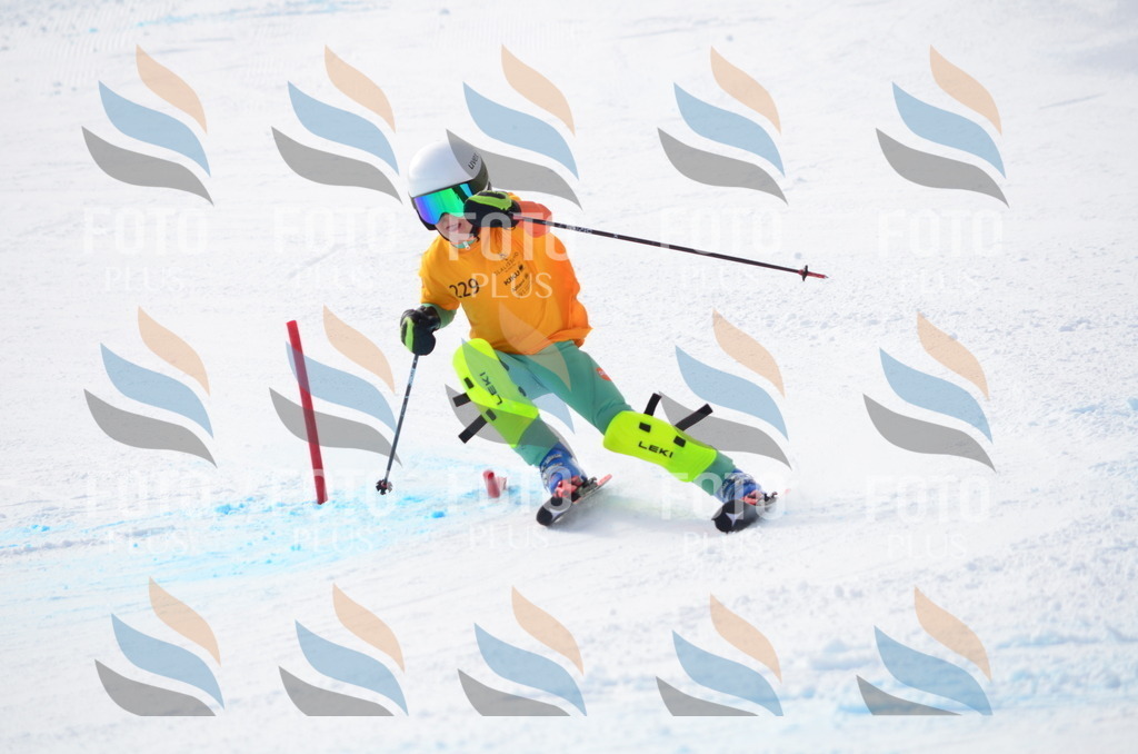 C8294 | holidayphoto