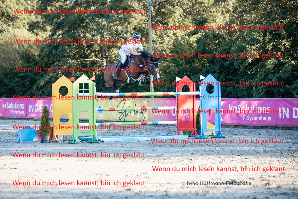 BK1A8877 | Turnierbilder Turnierfotos Nina Hüffmann Turnierfotografie Pferdefotografie Tierzeichnung Haustierzeichnung Pferdezeichnung Hundezeichnung Videograf  - Realisiert mit Pictrs.com