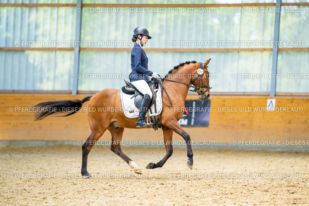 DSC08765 | Pferdegrafie