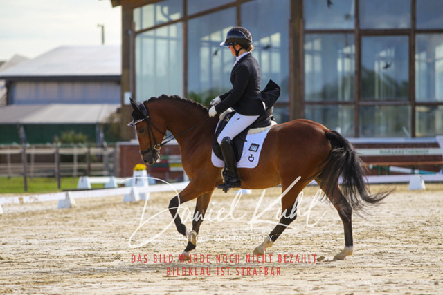 DKP43908 | Turniersportfotografie; Pferdefotografie; Dressurfotografie