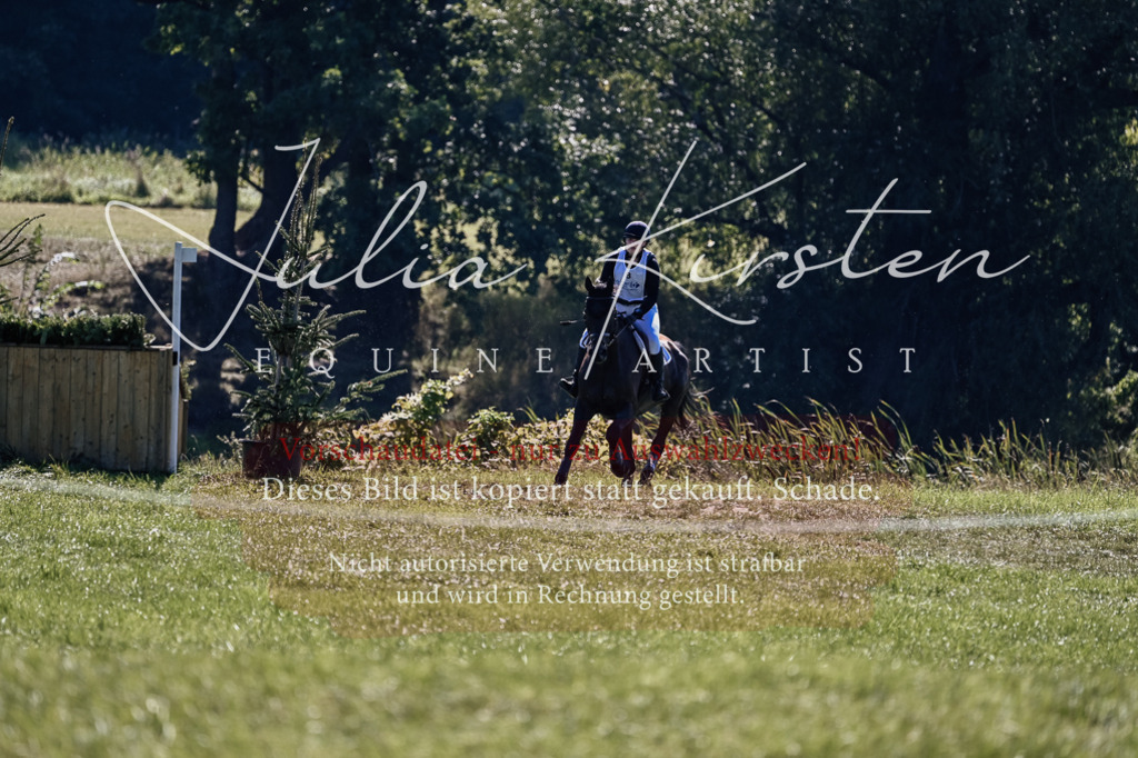 DSC_1596 | Pferde- und Turnierfotografie in Westsachsen. Pferdeportraits, Auftragszeichnungen und intuitive Kunst.