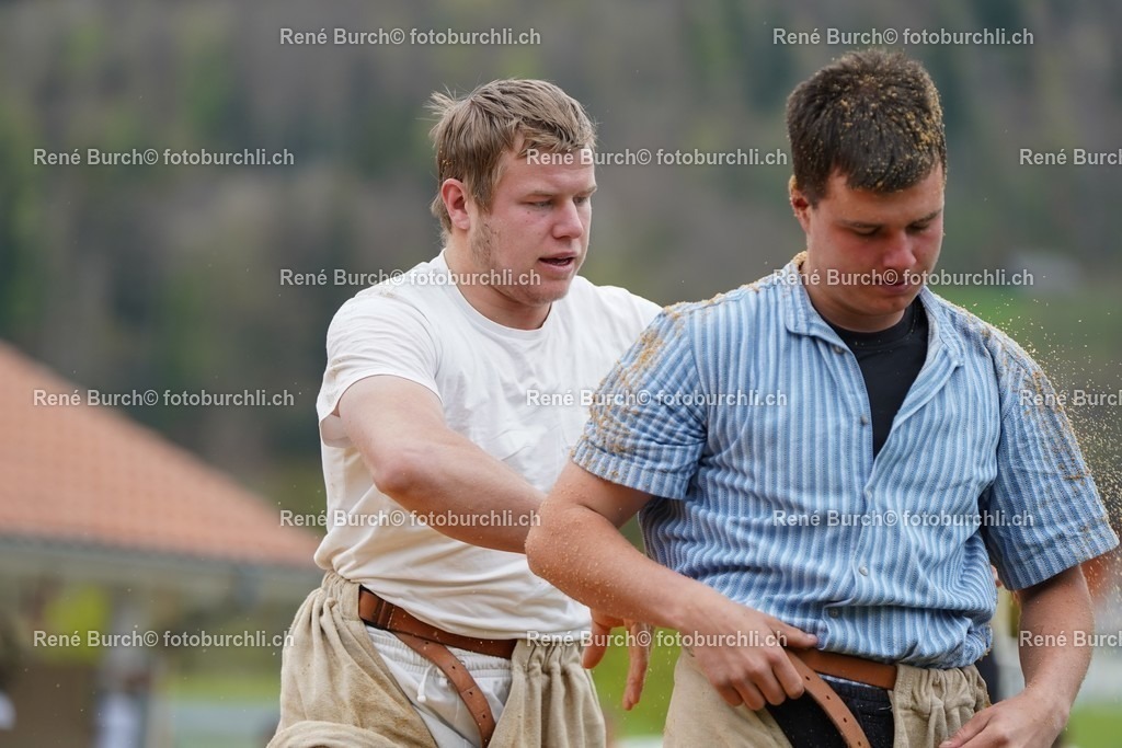 20220424-DSC09350 | René Burch leidenschaftlicher Fotograf aus Kerns in Obwalden.  Hier finden sie Sport, Landschaft und Natur Fotografie.
 - Realisiert mit Pictrs.com