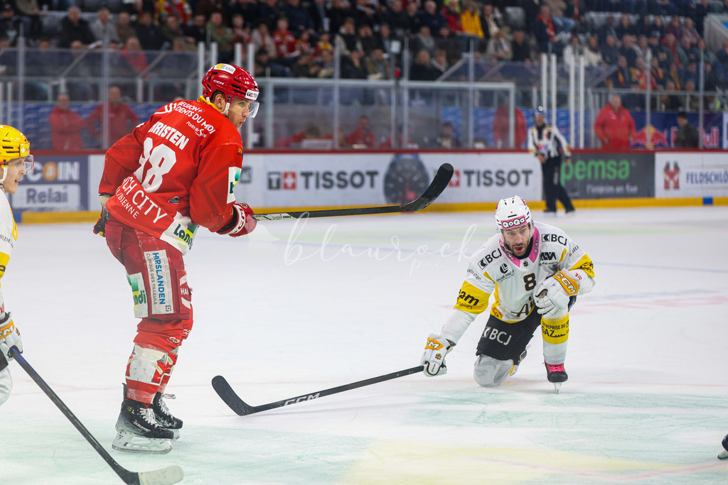 EHCB vs HCA 20260127_wb-9734 | Sportbilder, Sportfotograf, Hochzeits- und Eventfotografin, Flugshows, Portraits und Tiershooting, Aviation, Downhill, Nationalleague, Swissleague, International