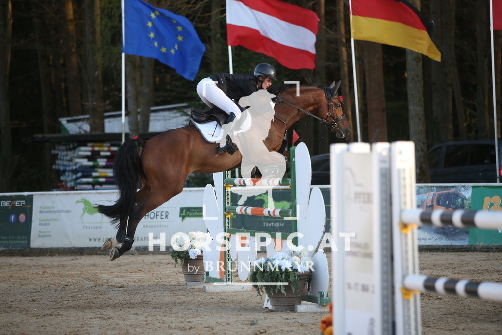 PP016490 | Willkommen bei Brunnmayr - Design & Fotografie – Ihrem Spezialisten für Reitturniere und Pferdeveranstaltungen in Oberösterreich, Salzburg und Bayern! Seit über 17 Jahren sind wir leidenschaftlich dabei.