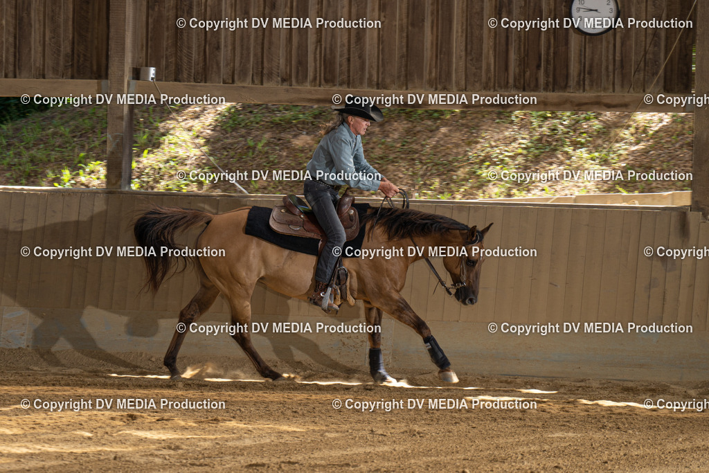 DSC00240 | dv-media-shop - Realisiert mit Pictrs.com