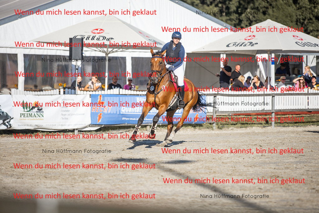 BK1A7672 | Turnierbilder Turnierfotos Nina Hüffmann Turnierfotografie Pferdefotografie Tierzeichnung Haustierzeichnung Pferdezeichnung Hundezeichnung Videograf  - Realisiert mit Pictrs.com