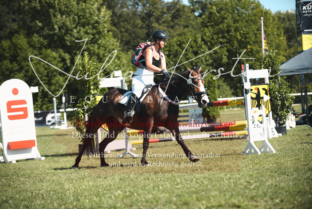 DSC_7439 | Pferde- und Turnierfotografie in Westsachsen. Pferdeportraits, Auftragszeichnungen und intuitive Kunst.