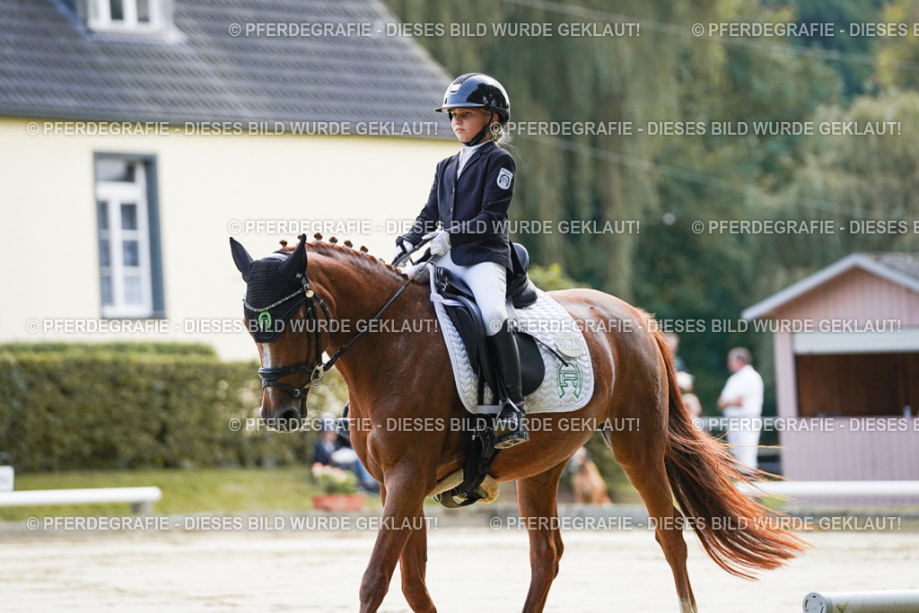 DSC05302 | Pferdegrafie