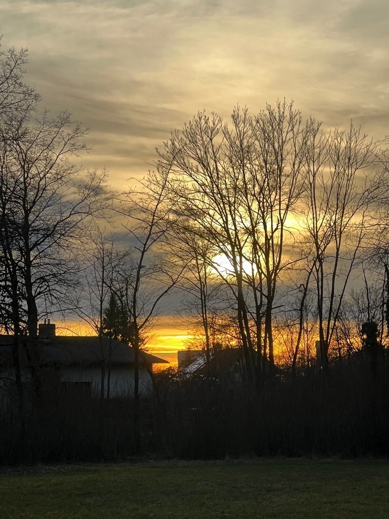 IMG_6092 | ace - Realisiert mit Pictrs.com