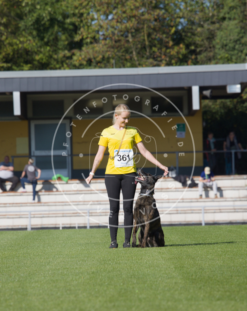 0L8A2303 | Hundefotografie, Tierfotograf, Pfotenfotografie, Fotoshooting Hund, Hunde Portrait, Hundesport, Hundeportraits, Heideshooting, Hunde, Sportfotograf, Hundefotograf, Turnierhundsport, THS,  - Realisiert mit Pictrs.com