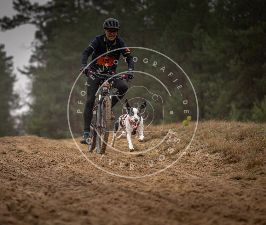 Pfotenfotografie_DV3A3572 | Hundefotografie, Tierfotograf, Pfotenfotografie, Fotoshooting Hund, Hunde Portrait, Hundesport, Hundeportraits, Heideshooting, Hunde, Sportfotograf, Hundefotograf, Turnierhundsport, THS,  - Realisiert mit Pictrs.com