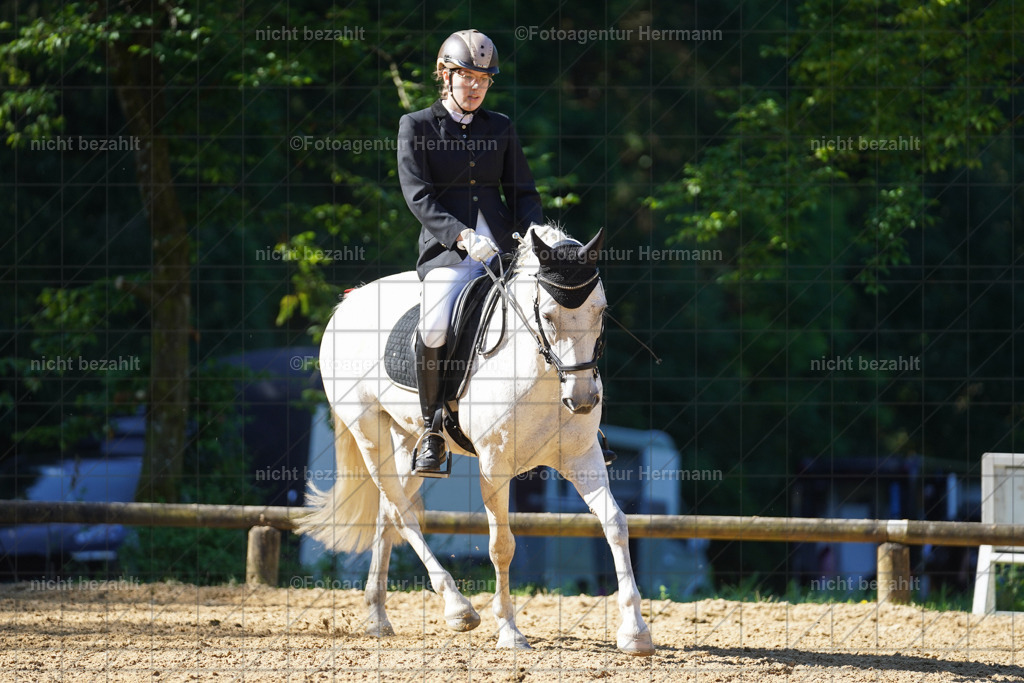 20240706-FAH04571 | Grafing Turnierfotos, Reitverein Ebersberg, Turnierfotografen Bayern, reitsportbilder, Pferdefotograf, reitsportfotograf, Sportbilder, Reitsportfotografie, Fotoagentur Herrmann, Turnierfotograf