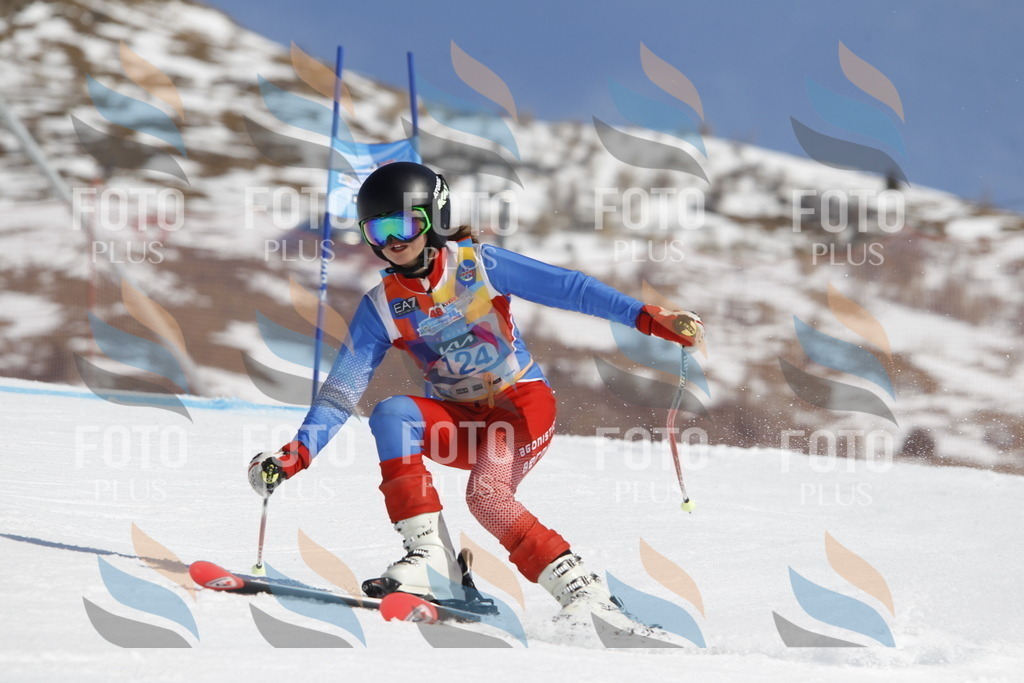 _U3G0770 | holidayphoto