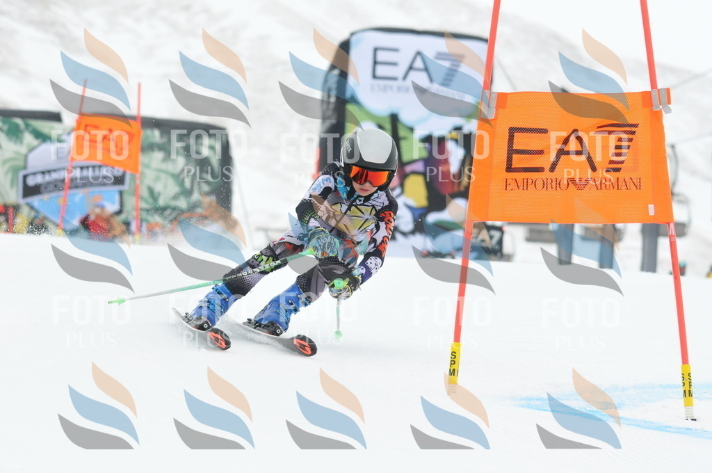 DSC_8741 | holidayphoto