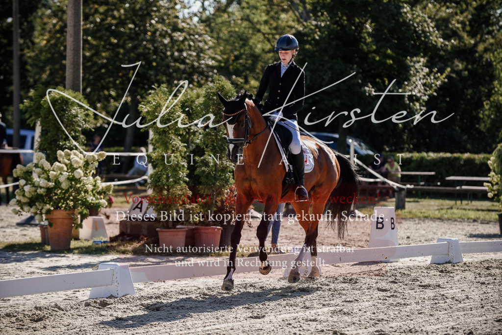 DSC_0350 | Pferde- und Turnierfotografie in Westsachsen. Pferdeportraits, Auftragszeichnungen und intuitive Kunst.