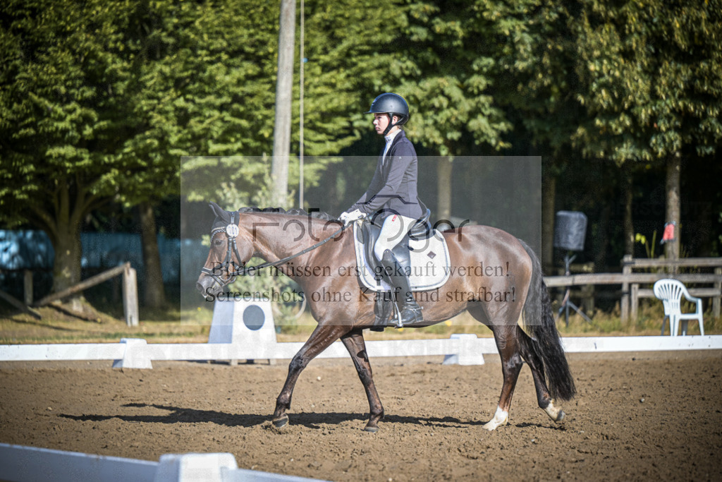 DOS_0710 | Entdecke hochwertige Reitturnierfotos von Foto Oger. Professionell, emotional und authentisch – jetzt Lieblingsmomente im Shop bestellen.Deutschlandweite Turnierfotografie. - Realisiert mit Pictrs.com