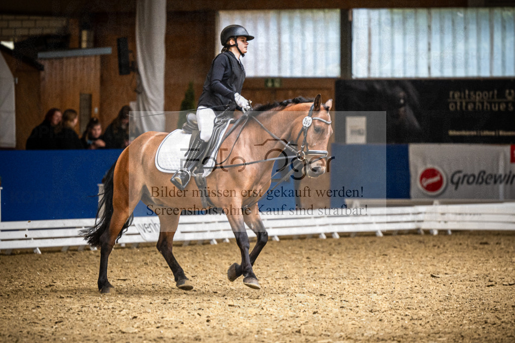 DOS_1484 | Entdecke hochwertige Reitturnierfotos von Foto Oger. Professionell, emotional und authentisch – jetzt Lieblingsmomente im Shop bestellen.Deutschlandweite Turnierfotografie. - Realisiert mit Pictrs.com