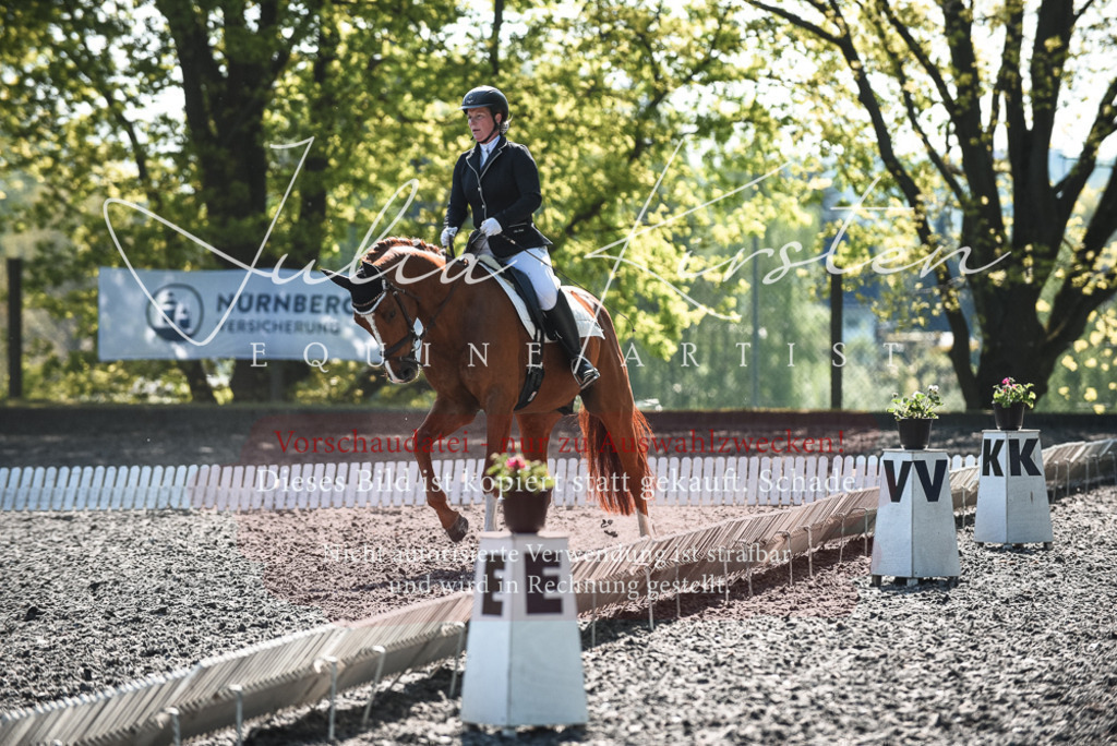 DSC_8755 | Pferde- und Turnierfotografie in Westsachsen. Pferdeportraits, Auftragszeichnungen und intuitive Kunst.