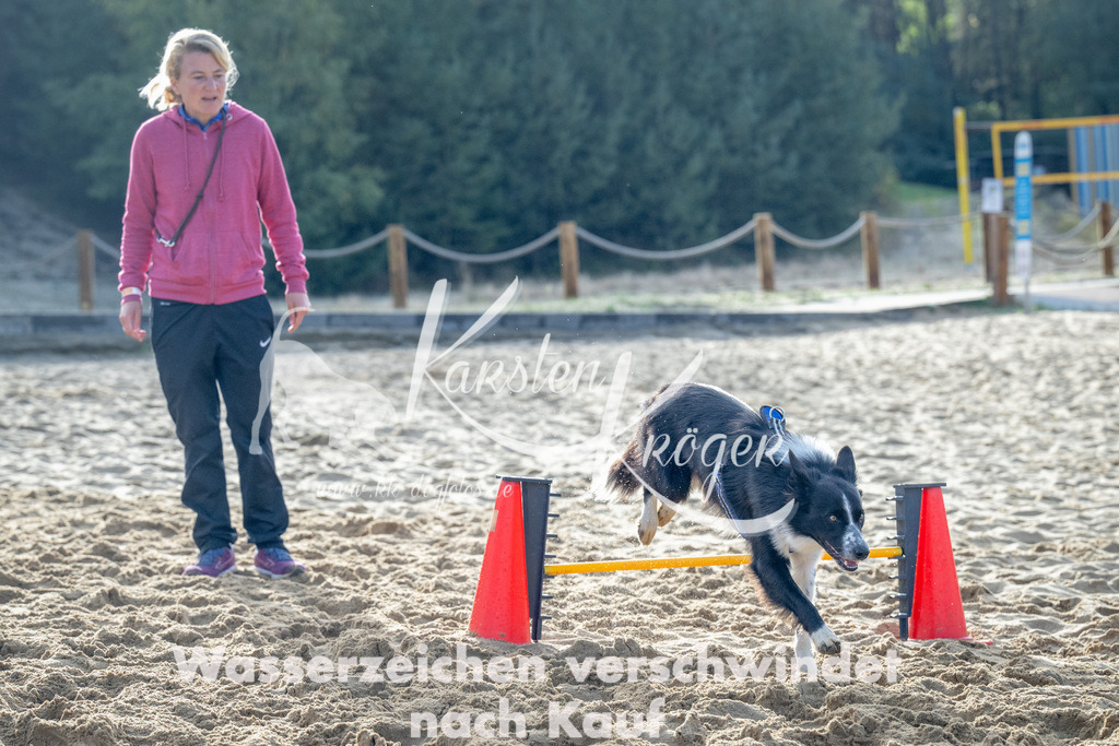 0939_ZZ92602 | kk-dogfotos
