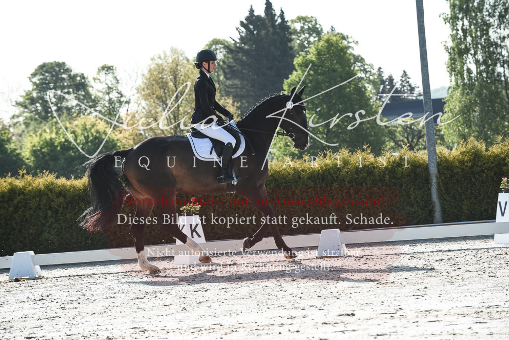 20230518_JK-Röhrsdorf-09-0574 | Pferde- und Turnierfotografie in Westsachsen. Pferdeportraits, Auftragszeichnungen und intuitive Kunst.