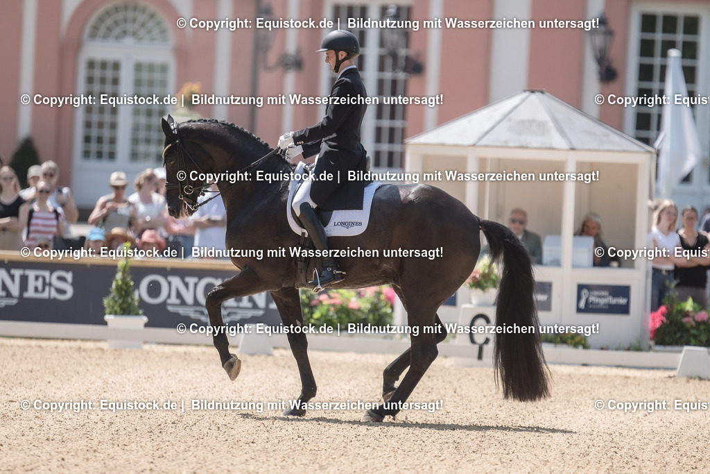 20230527_01_GP-Kür-Tour_0031 | equistock