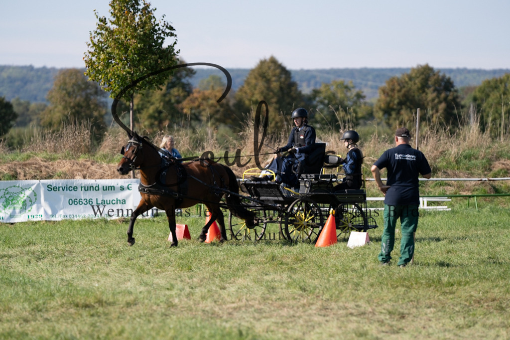 A7V04403 | Pferdefotograf
