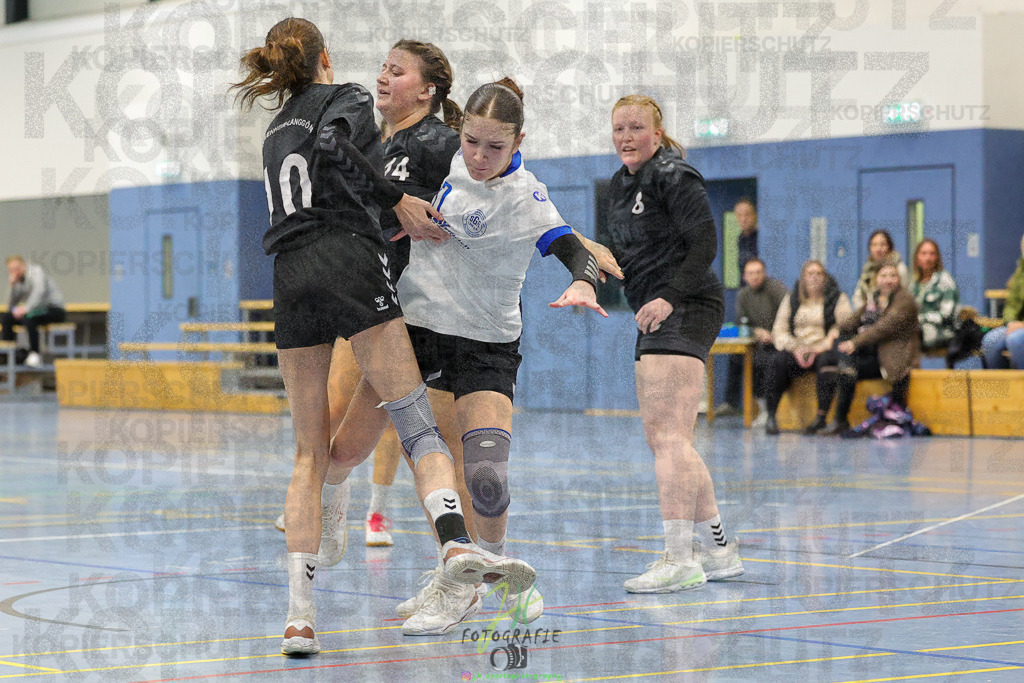 Frauen 2. Bezirksklasse, SG Rechtenbach - HSG Kleenheim/Langgöns III | Frauen 2. Bezirksklasse, SG Rechtenbach - HSG Kleenheim/Langgöns III am 16.11.2024 in Rechtenbach (Sporthalle Rechtenbach)Photo © 2024 - Jörg Heinrich - Realisiert mit Pictrs.com