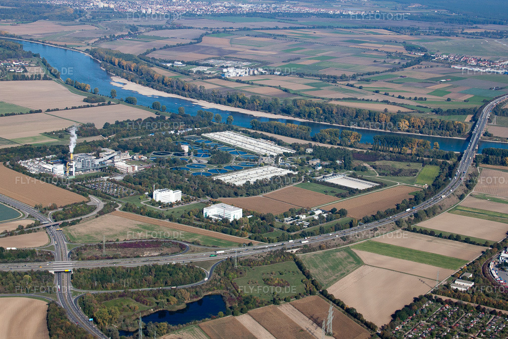 Luftbild: Frankenthal, BASF-Kläranlage im Ortsteil Mörsch in Frankenthal im Bundesland Rheinland-Pfalz in Deutschland. Foto: IMG_21778.jpg vom 09.10.2009 durch Werner Riehm/FLY-FOTO.de