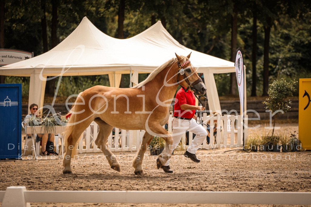 3.Sa00041 | Leoni Ertmer Photography - Realisiert mit Pictrs.com