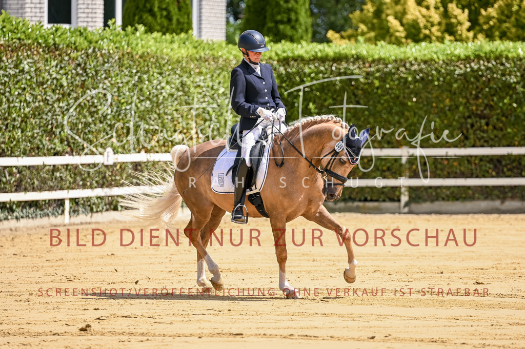 Schugtsche-Aluta25-48.Reitpferfdeprf.-55 | Schugtsche Fotografie - Realisiert mit Pictrs.com