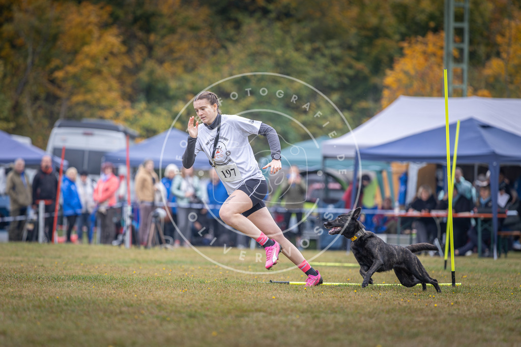 Pfotenfotografie_DV3A1094 | Hundefotografie, Tierfotograf, Pfotenfotografie, Fotoshooting Hund, Hunde Portrait, Hundesport, Hundeportraits, Heideshooting, Hunde, Sportfotograf, Hundefotograf, Turnierhundsport, THS,  - Realisiert mit Pictrs.com