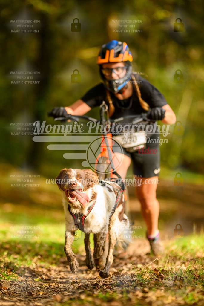 MompixPhotography_20TSB_E1_DS1-38 | PayLife