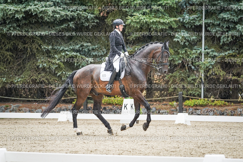 DSC08175 | Pferdegrafie