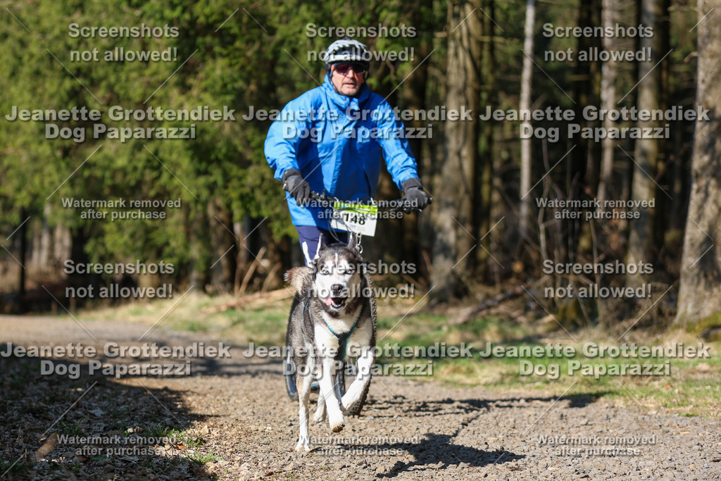 Dog Paparazzi - VCC26-97 | Dog Paparazzi Jeanette Grottendiek Fotografie & Videografie - Realisiert mit Pictrs.com