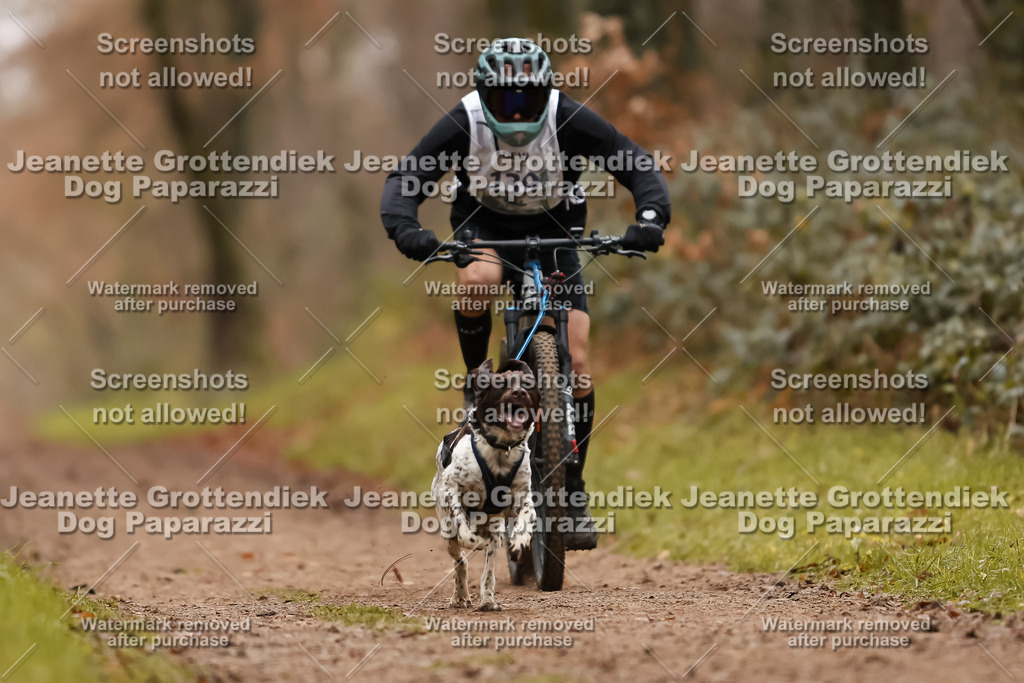 Dog Paparazzi - Speedhunter Mannheim  2025-391 | Dog Paparazzi Jeanette Grottendiek Fotografie & Videografie