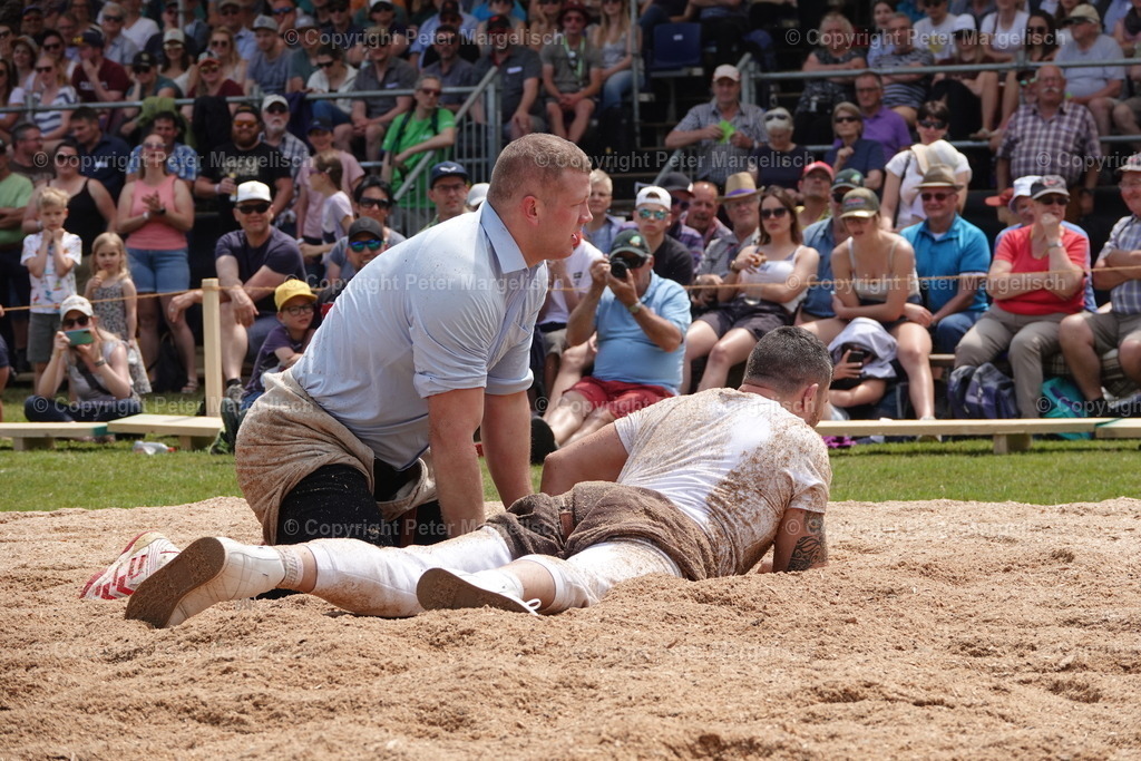 DSC04596 | Schwingen - Realisiert mit Pictrs.com