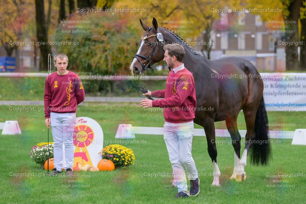 149_Antoninette_v.Mochito__Schwaiganger_251018_10_gis | gis-fotografie