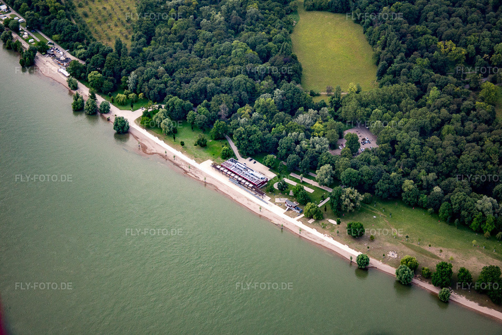 Luftbild: Rheinstrandbad im Ortsteil Niederfeld in Mannheim im Bundesland Baden-Württemberg in Deutschland. Foto: IMG_090991.jpg vom 04.07.2016 durch Werner Riehm/FLY-FOTO.de