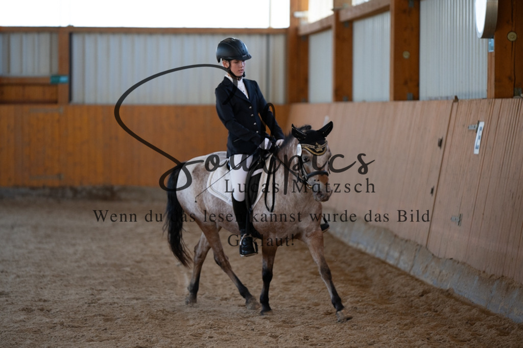 A7V01693 | Turnier/Reitfotograf