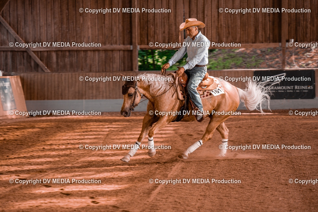 NE201186 | dv-media-shop - Realisiert mit Pictrs.com