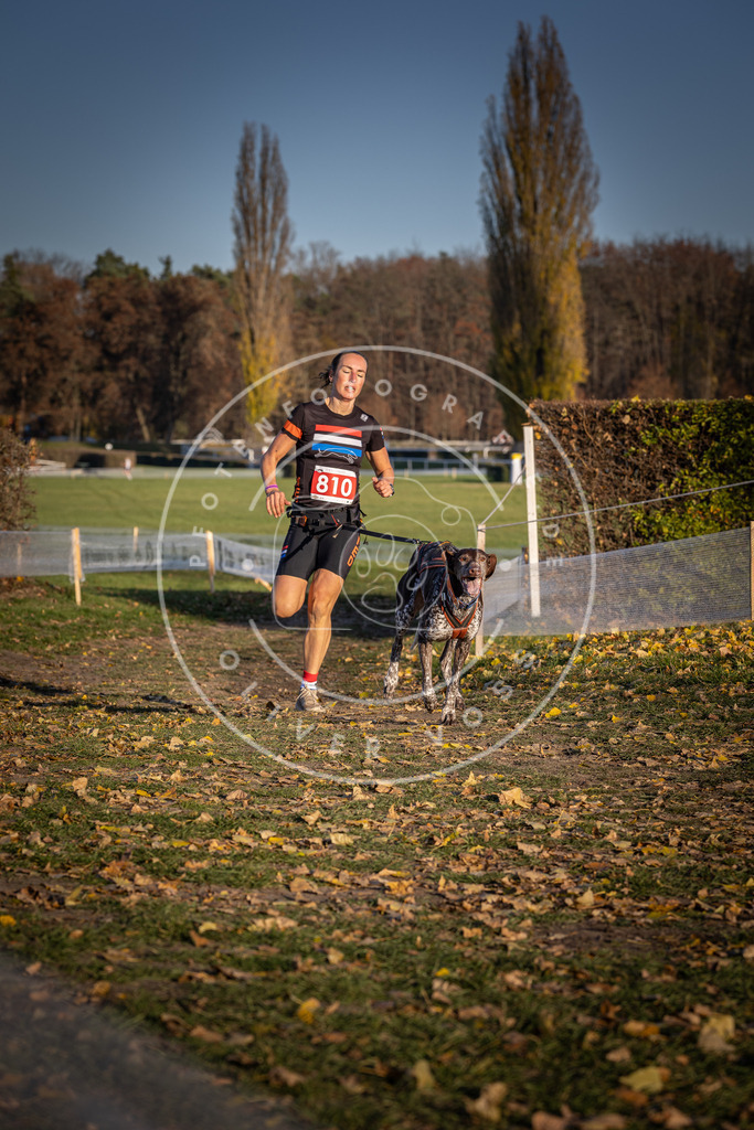 CaniXpix_DV3A3024 | Hundefotografie, Tierfotograf, Pfotenfotografie, Fotoshooting Hund, Hunde Portrait, Hundesport, Hundeportraits, Heideshooting, Hunde, Sportfotograf, Hundefotograf, Turnierhundsport, THS,  - Realisiert mit Pictrs.com