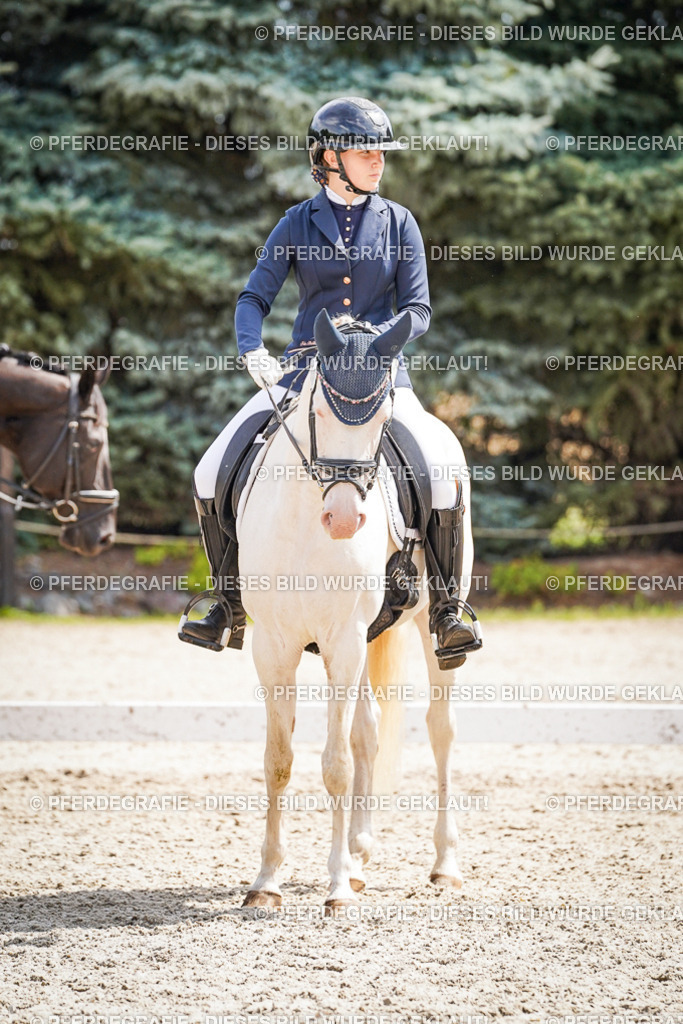 DSC02213 | Pferdegrafie