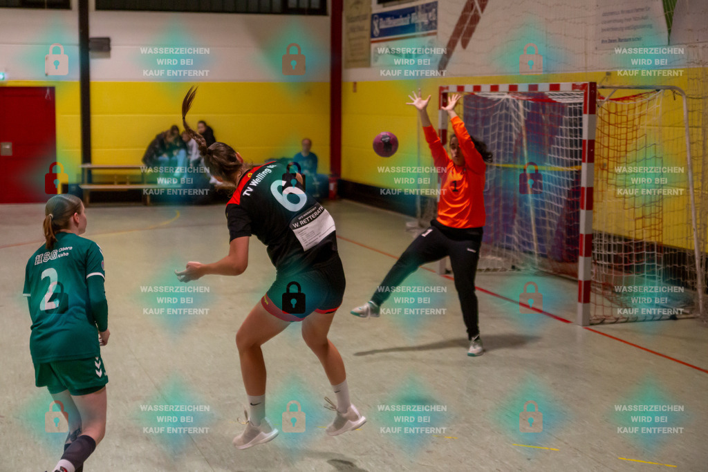 _HP_7309_3000o | TV Welling Damen vs. HSG ObereNahe 04.02.2024